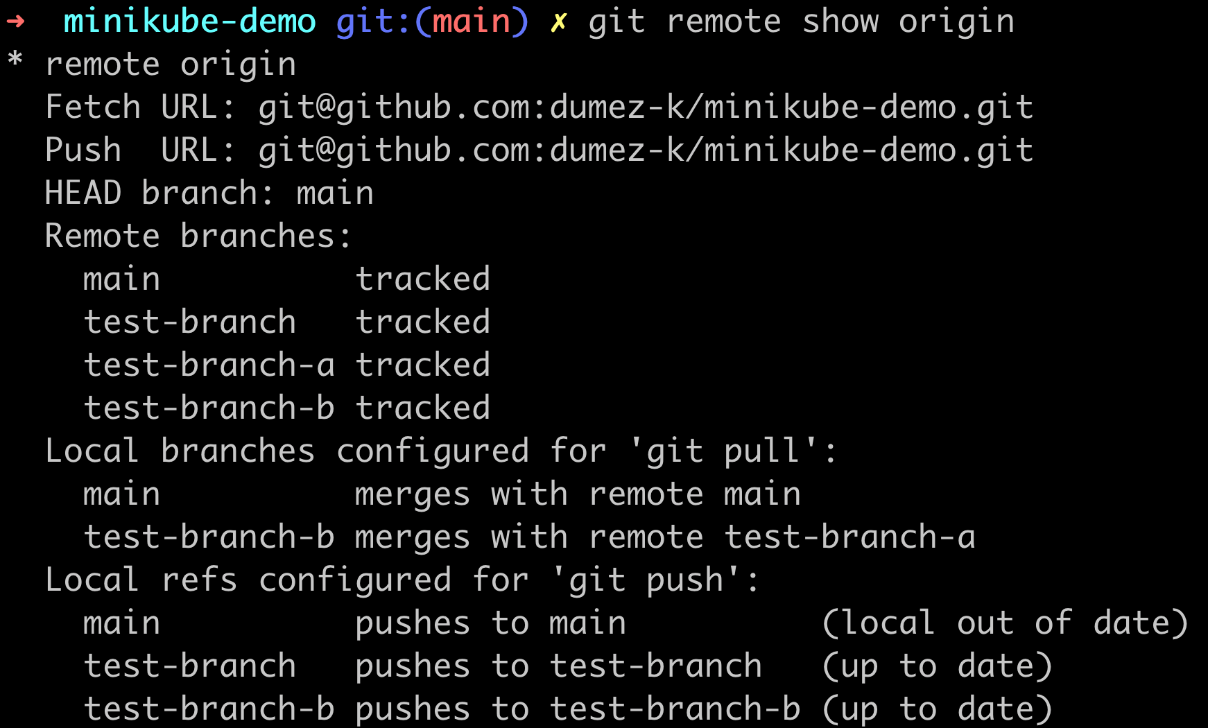 screenshot of git remote show origin command